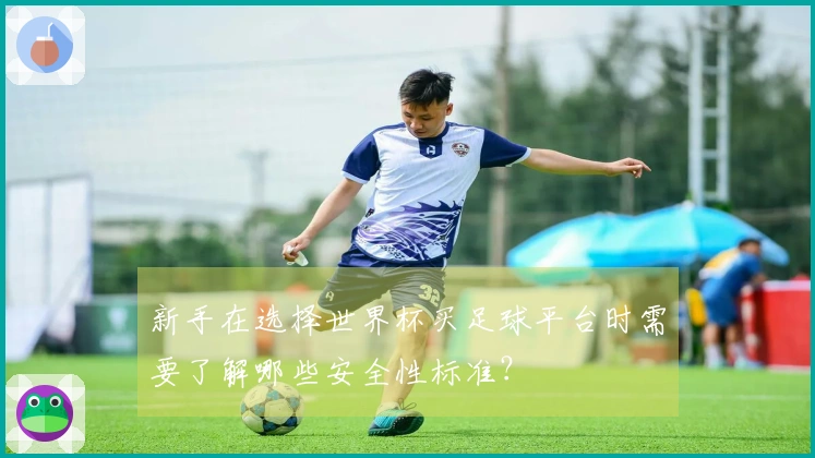 新手在选择世界杯买足球平台时需要了解哪些安全性标准？