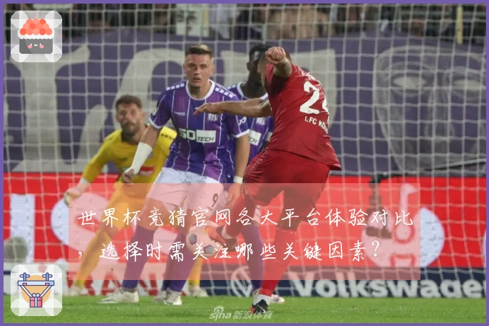 世界杯竞猜官网各大平台体验对比，选择时需关注哪些关键因素？