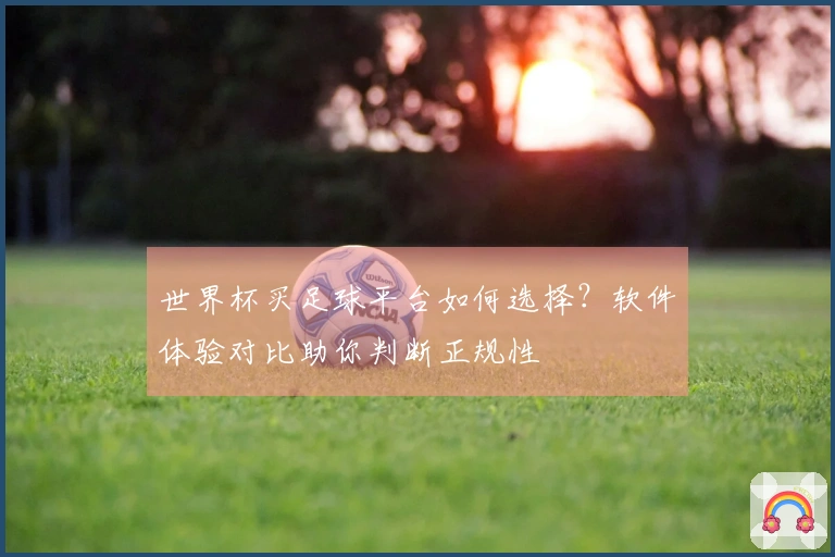 世界杯买足球平台如何选择？软件体验对比助你判断正规性